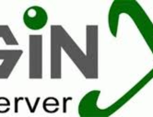 NGINX issues